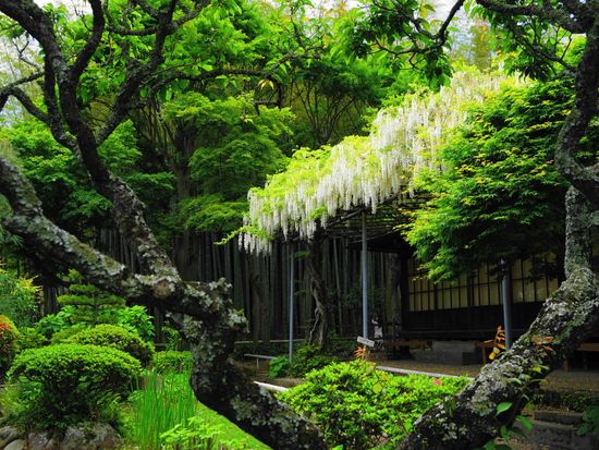 Japan_Kanagawa_Kamakura_Eishouji_pixta_52982067_M