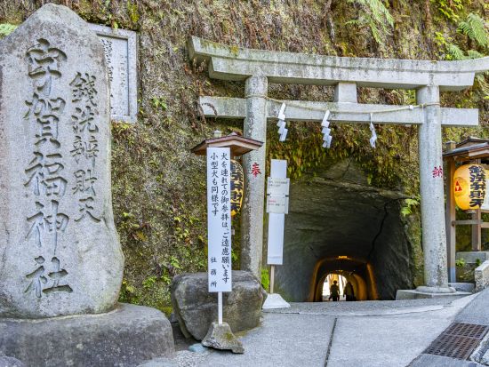 人力車で行く鎌倉観光ツアー 「鎌倉殿の13人」ゆかりの地を定番スポットから穴場まで人力車ならではのフットワークでご案内！＜ガイド付／英語オプション有／鎌倉＞