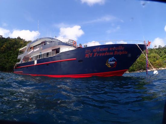 ピピ島ファンダイビング｜日本語プライベートガイド同行で初心者も安心＆ベテランも満足＜沈船／シャークポイント選択可／2～3ダイブ＞by D.O.