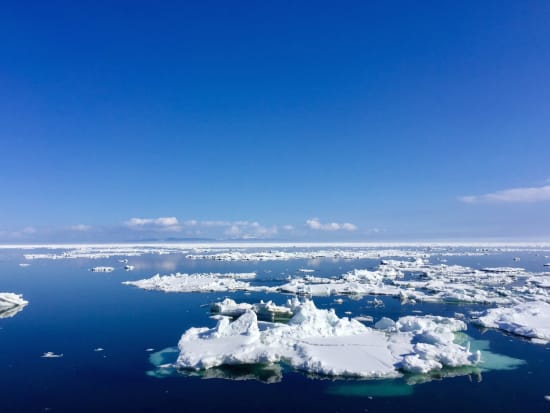 流氷クルージング 　世界遺産知床半島冬の根室海峡クルーズ早朝サンライズ＆朝焼け＆ワシなどの写真撮影コースと流氷やバードウッチングを楽しむ観光コース＜羅臼港発着＞