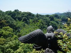 DSC01005