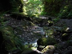 DSC01030