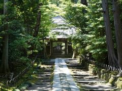 寿福寺3