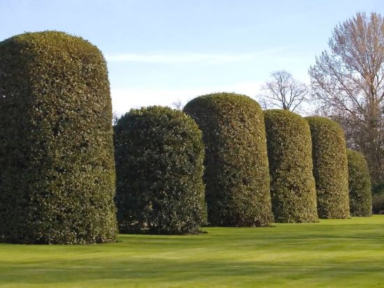 ダイアナ元皇太子妃の居城 ケンジントン宮殿(Kensington Palace) 入場チケット☆チケット購入時間を節約！