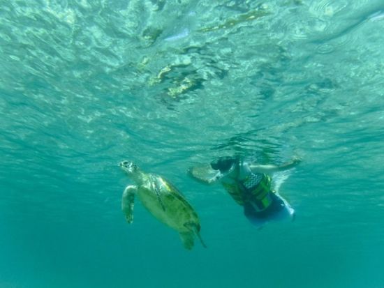 ゲストハウス1泊2日+選べるアクティビティ　宿泊とセットでマリンアクティビティをお得に楽しもう！＜ツイン／素泊まり／宮古島＞