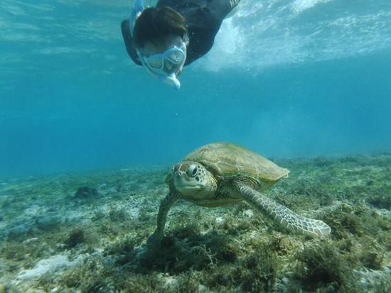 3F575453-1977-4AB4-8ED8-216D1408B04D-10633-000003E15837B38F