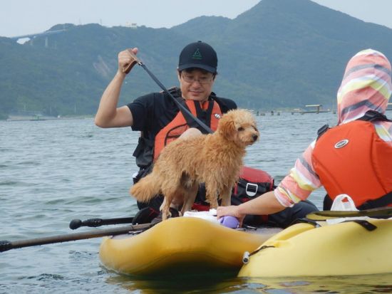 【愛犬連れOK】SUP (スタンドアップパドル) 体験　初心者でも安心！ウチノ海やスクノ海など鳴門海峡周辺で海上散歩＜2・3時間／鳴門市＞by Horizon