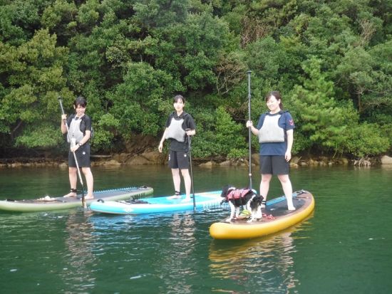 【愛犬連れOK】SUP (スタンドアップパドル) 体験　初心者でも安心！ウチノ海やスクノ海など鳴門海峡周辺で海上散歩＜2・3時間／鳴門市＞by Horizon