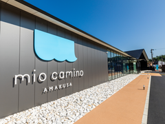 miocamino