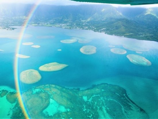 セスナ（小型飛行機）体験操縦　1名～参加OK！ハワイで気軽にフライトレッスンを体験　by LANI LEA SKY TOURS & Flight School