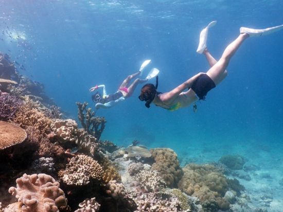 幻の島またはパナリ上陸＋スキンダイビング（素潜り）体験　少人数制＆丁寧レクチャーで安心！透明度の高い八重山の海を素潜りで満喫＜1日／石垣市内無料送迎可＞