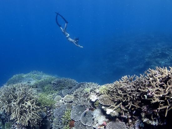幻の島またはパナリ上陸＋スキンダイビング（素潜り）体験　少人数制＆丁寧レクチャーで安心！透明度の高い八重山の海を素潜りで満喫＜1日／石垣市内無料送迎可＞