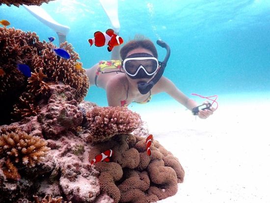 幻の島またはパナリ上陸＋スキンダイビング（素潜り）体験　少人数制＆丁寧レクチャーで安心！透明度の高い八重山の海を素潜りで満喫＜1日／石垣市内無料送迎可＞