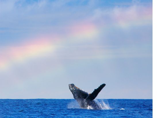 20211228072842_632713706_10072