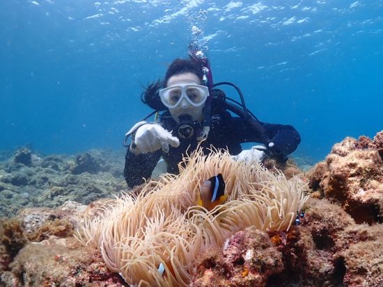 縄文杉トレッキング＋体験ダイビング　ウミガメポイントへ行くプランもご用意！＜2日間／ビーチ／1ダイブ＞byエバーブルー屋久島