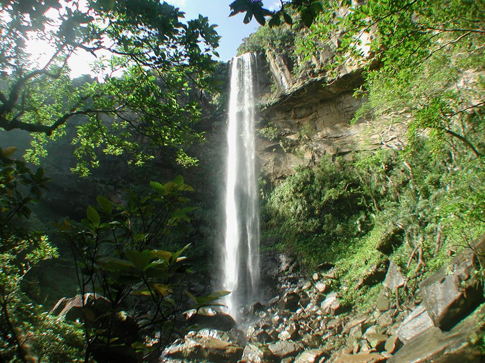 20211229020556_472372279_15646