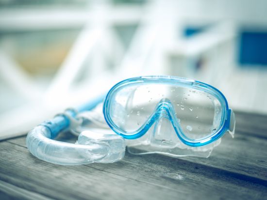 縄文杉トレッキング＋シュノーケリング　山も海もそれぞれ専門ガイドがご案内！10歳から参加OK ＜2日間ツアー＞ by エバーブルー屋久島