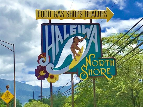  オアフ島1日観光　ノースショア（ハレイワ）と絶景スポット＆ローカルグルメ巡り欲張りツアー！ フミズのガーリックシュリンプランチ付き