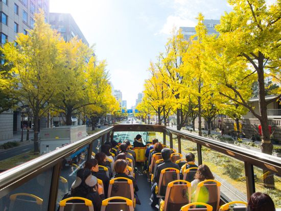 大阪市内観光バス 2階建オープンデッキバスで巡る名所の数々！ダイナミックな景観と季節の風を感じながら360度パノラマ観光！＜大阪駅発＞