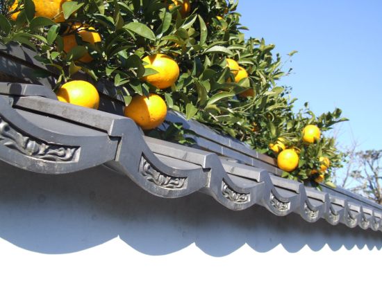 萩城ウォーキングツアー　世界遺産「堀内伝建地区」で、古地図片手に謎解きウォーク！＜1.5～2時間／萩市＞