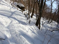 pixta_38519731_M