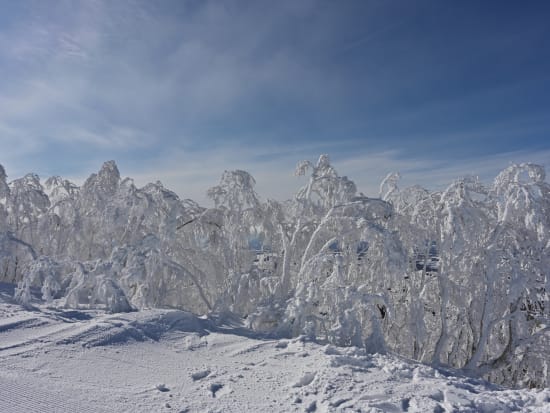 【日帰りリフト券パック】札幌市内発着スキーバス往復チケット+ルスツリゾートリフト1日券付きプラン＜ランチ券付もあり／2024年12月2日～2025年3月31日＞