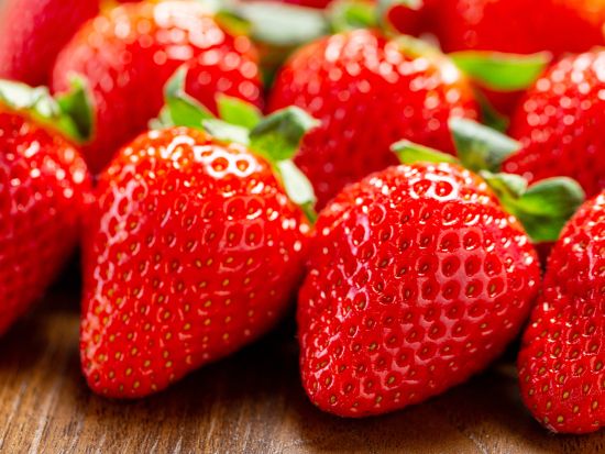 日帰りバスツアー 河津桜鑑賞で春を先取り！伊豆の甘ーいいちごを最大40分食べ放題♪ 桜えび＆しらす弁当付＜2～3月／横浜駅発＞