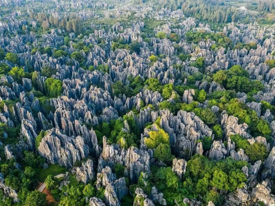 世界遺産の雲南石林