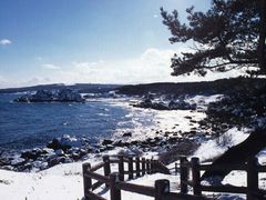 種差海岸
