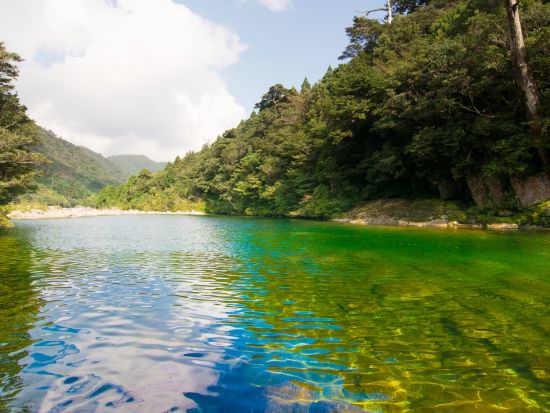 安房川リバーカヤック半日ツアー   屋久島公認ガイド石原さんがご案内　360度カメラで撮影した写真プレゼント 1名参加可  by aqua style