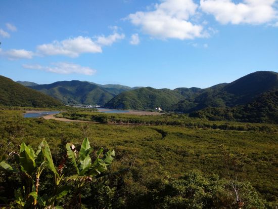 カヌーで川下り＆マングローブ巡り！4歳のお子様から参加できるジャングル大冒険 10:00または14:00選択＜半日／住用町＞by マングローブ茶屋