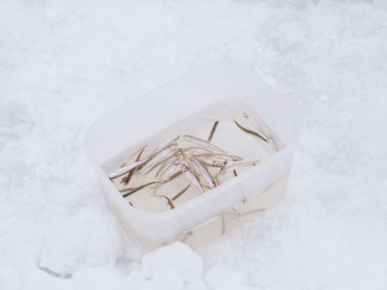 阿寒湖 天然ワカサギ釣り会場送迎ツアー グループ1台当たり料金 空港発着可能な貸切プランで自由自在！＜釧路市内・釧路空港発着＞