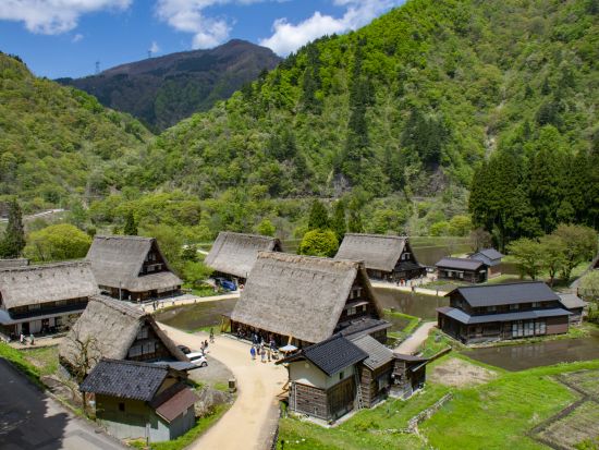 貸切観光タクシー 世界遺産 白川郷＋飛騨の小京都 高山を巡る 家族旅行やプライベート旅行におすすめ！＜9時間／1～9名／金沢発着＞