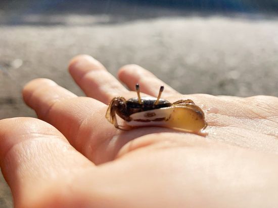 加計呂麻島1日トレッキングツアー 島の絶景＆シークレットスポットへ認定ガイドがご案内 ＜生間港発着or島内送迎＞by Cross Island