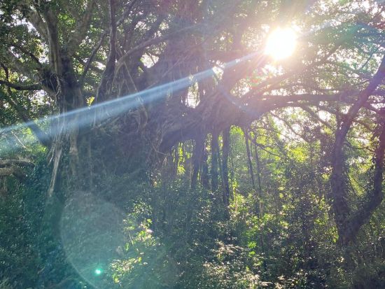 加計呂麻島1日トレッキングツアー 島の絶景＆シークレットスポットへ認定ガイドがご案内 ＜生間港発着or島内送迎＞by Cross Island