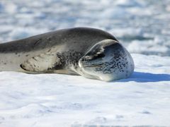 pixta_31138477_M