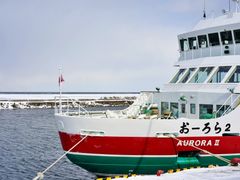 pixta_70570105_M