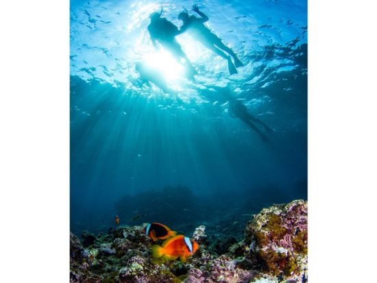 スノーケリングツアー　透明度抜群の外界ダイビングスポットにご案内！＜6～10月催行／久米島＞