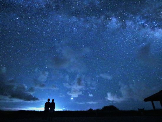 ジャングルトレッキング＋星空鑑賞＋ナイトツアー　西表島の昼と夜の魅力を満喫するセットプラン！画像データプレゼント＜半日＋夜間／大原港周辺ホテル無料送迎／西表島＞