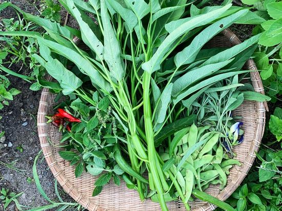 219277659_1061275397612616_4703007094970219523_n