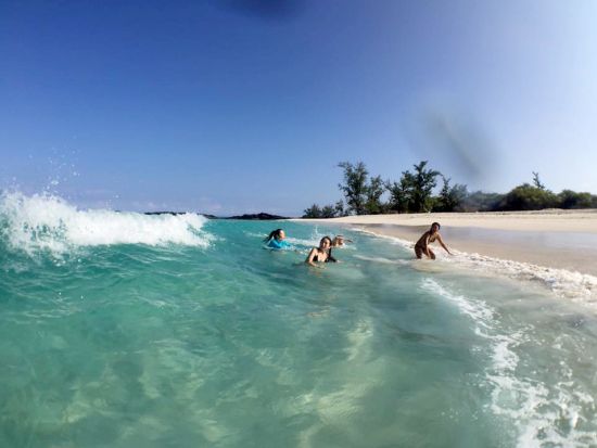 ハワイ島フォトツアー　溶岩大地やコナコーヒー農園などハワイ島の人気スポットを巡りながら、ガイドが旅の様子を撮影！ ＜午前／日本語ガイド＞