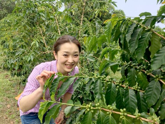 35989427_918000855038342_6087687281005559808_n - コピー