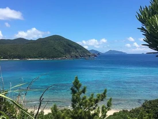 加計呂麻島の「歩く図鑑」！認定ガイド佐藤さんと行く！島内観光ツアー　＜生間港・瀬相港 発着＞ by Cross Island