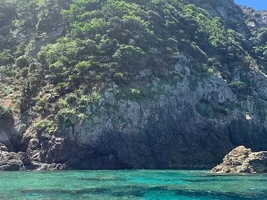 74f316_f55981a5b9594c29a5857d73c1aee786_mv2