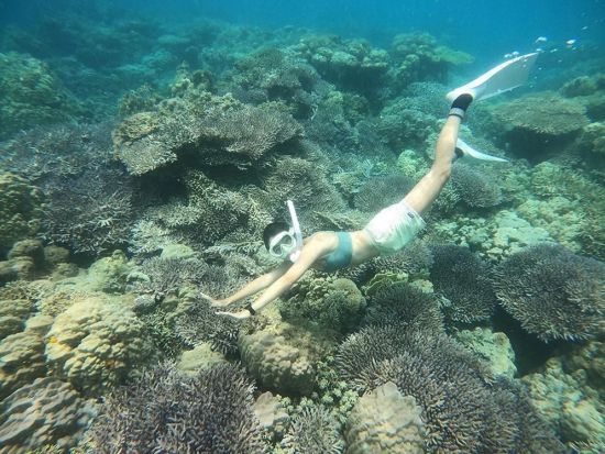 シュノーケリング＋選べるアクティビティ(SUPまたはシーカヤック)　加計呂麻島の無人ビーチへ！＜半日・1日／生間港・島内発着＞by Cross Island