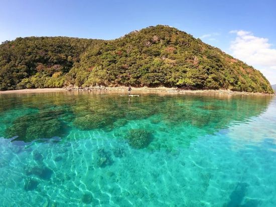 呑之浦（のみのうら）干潟とマングローブツアー SUP／シーカヤックで海からしか行けない貴重な原生林へ＜2時間／生間港・島内発着＞by Cross Island