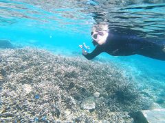 IMG_1520