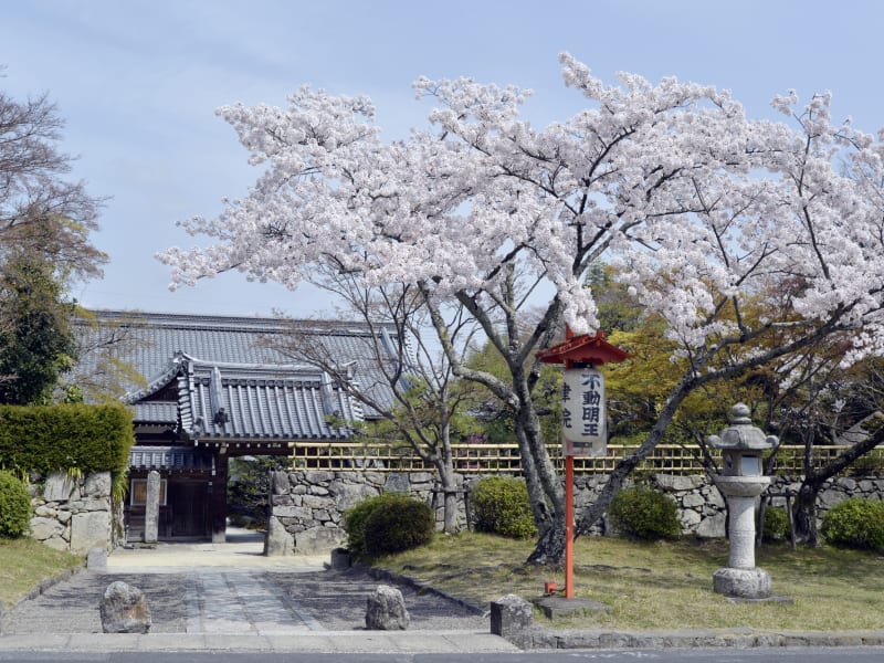 Japan_Shiga_Hiyoshi_taisha_pixta_84988283