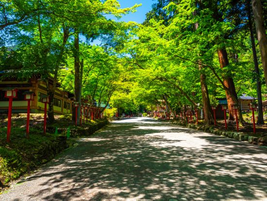 貸切観光タクシー 西教寺＋日吉大社＋浮御堂を周る絶景寺社巡りコース＜2.5時間／1～9名／大津市内発着／京都発着オプションあり＞by 滋賀ヤサカ自動車