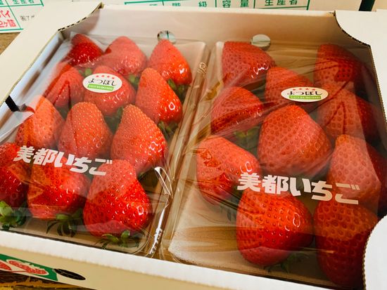 2パックセット2